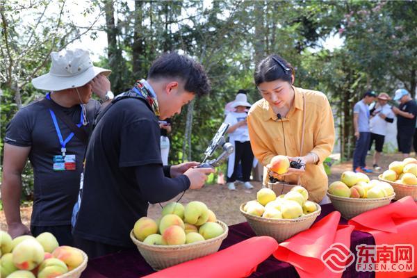 建宁县融媒体中心主持人正在果园里直播,助力桃梨莲特色农产品销售