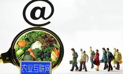 农村有3个挣钱“路子”,2019年做不算晚,攒了钱的农民不妨试试